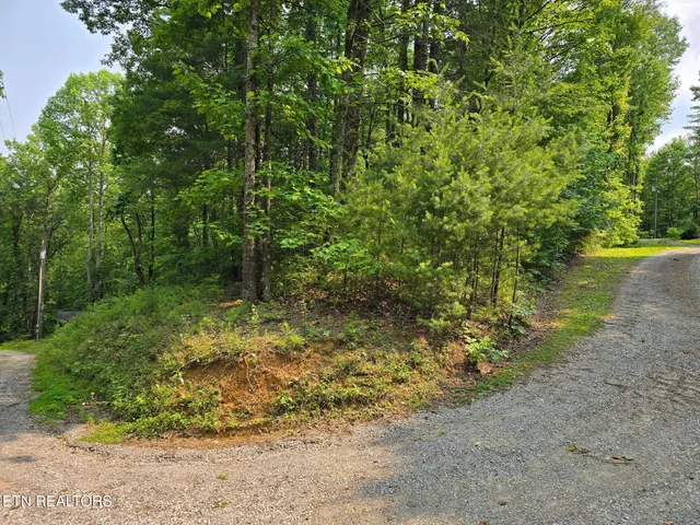 $23,500 | Towee Mountain Drive, Reliance, TN 37369