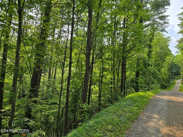 $23,500 | Towee Mountain Drive, Reliance, TN 37369