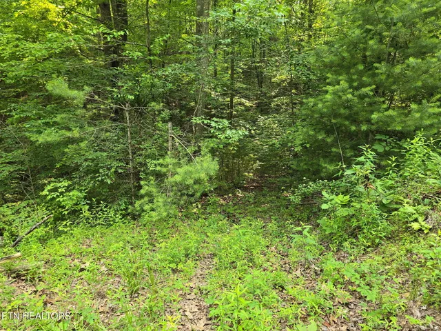 $23,500 | Towee Mountain Drive, Reliance, TN 37369