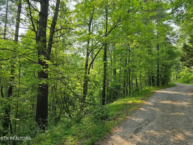 $23,500 | Towee Mountain Drive, Reliance, TN 37369