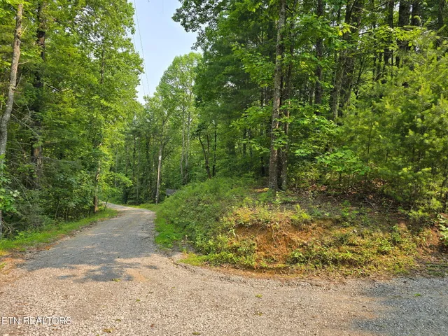 $23,500 | Towee Mountain Drive, Reliance, TN 37369
