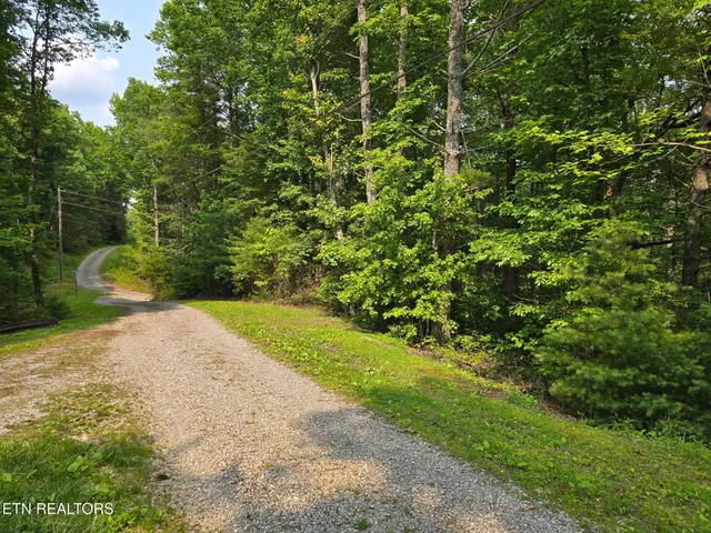 $23,500 | Towee Mountain Drive, Reliance, TN 37369