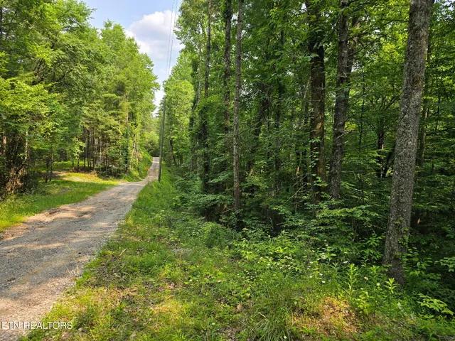 $23,500 | Towee Mountain Drive, Reliance, TN 37369