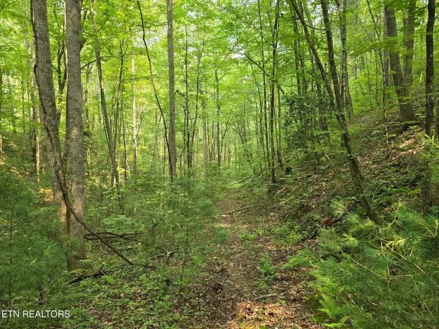 $23,500 | Towee Mountain Drive, Reliance, TN 37369