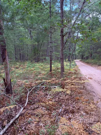 $14,900 | 0 South Shady Grove Drive, Baldwin, MI 49304