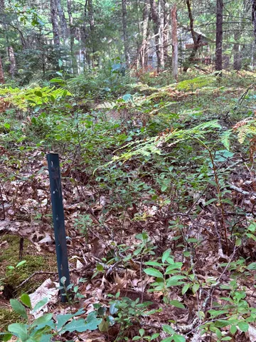 $17,000 | 0 South Shady Grove Drive, Baldwin, MI 49304