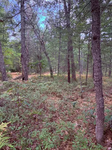 $17,000 | 0 South Shady Grove Drive, Baldwin, MI 49304