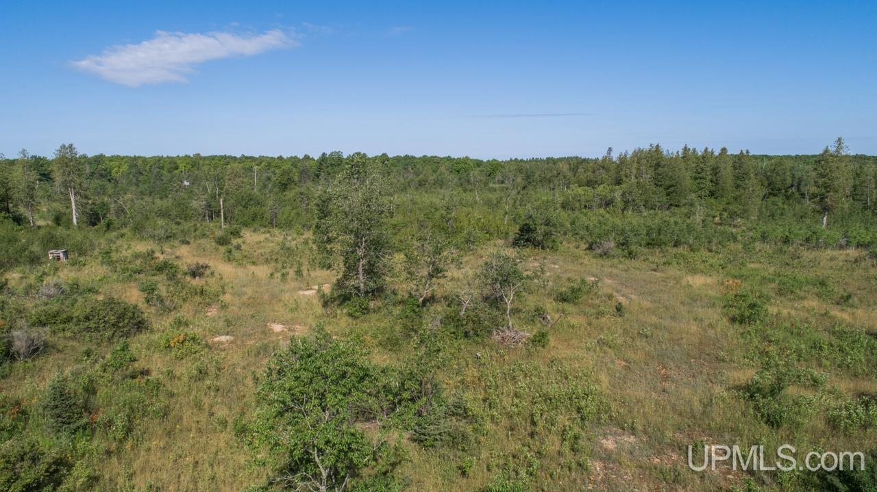 Tbd 80-acres 30th Road Rapid River, MI 49878 - Photo 15 of 17