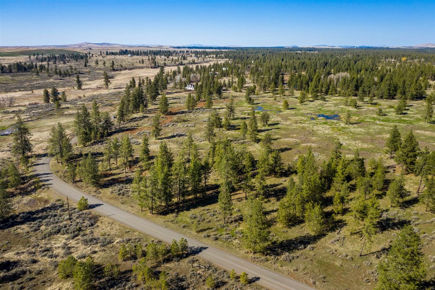21200 South Harrison Road Edwall, WA 99008 - Photo 5 of 13 Gallery Image 5