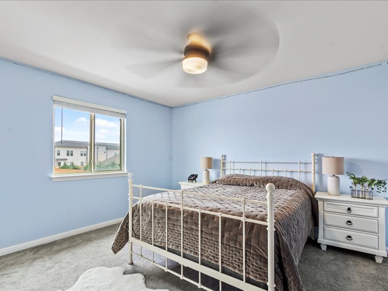 8201 Daisy Cutter Crossing Georgetown, TX 78626 - Photo 14 of 31 Bedroom with carpet floors and a ceiling fan
