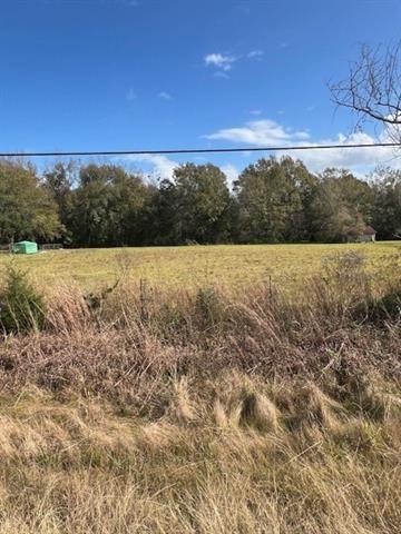 Tbd South Airport Road Hammond, LA 70403 - Photo 4 of 8