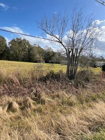 Tbd South Airport Road Hammond, LA 70403 - Photo 5 of 8