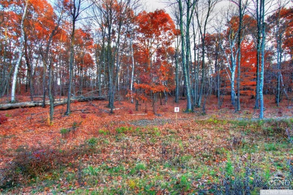 8 Stonegate Off Birch Hill Road Craryville, NY 12521 - Photo 2 of 5 Lot 8