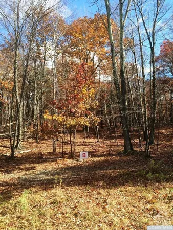 $225,000 | 8 Stonegate Off Birch Hill Road, Craryville, NY 12521