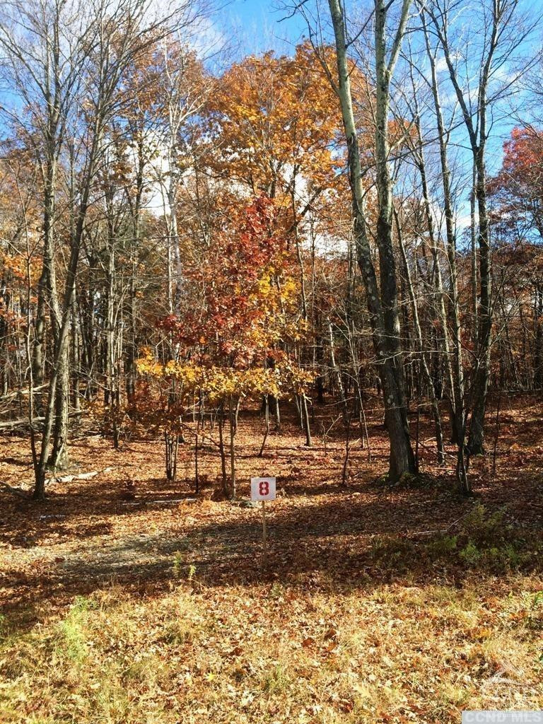 8 Stonegate Off Birch Hill Road Craryville, NY 12521 - Photo 4 of 5 Lot 8