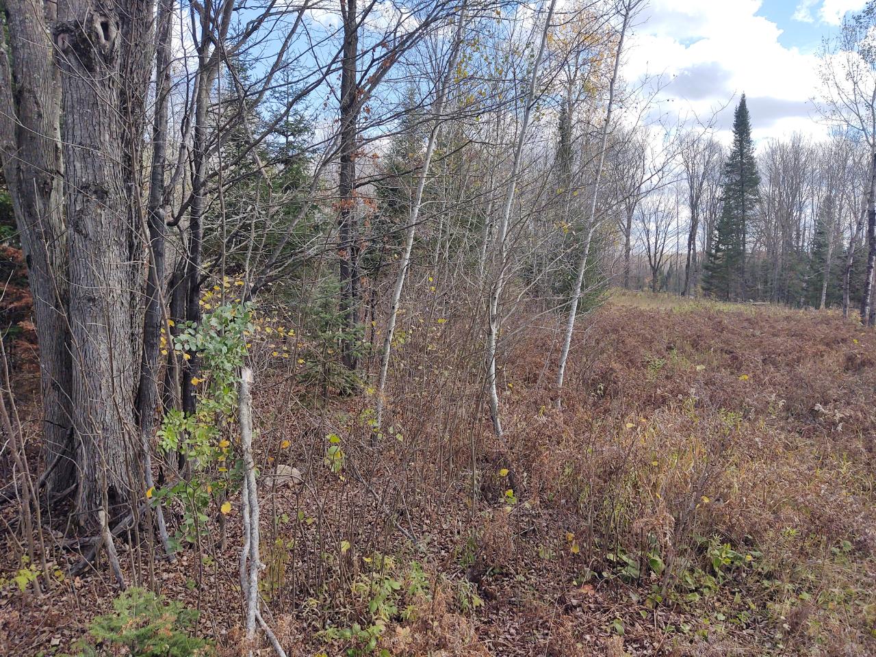 Lot 4 North River Road Park Falls, WI 54552 - Photo 22 of 37 Gallery Image 22