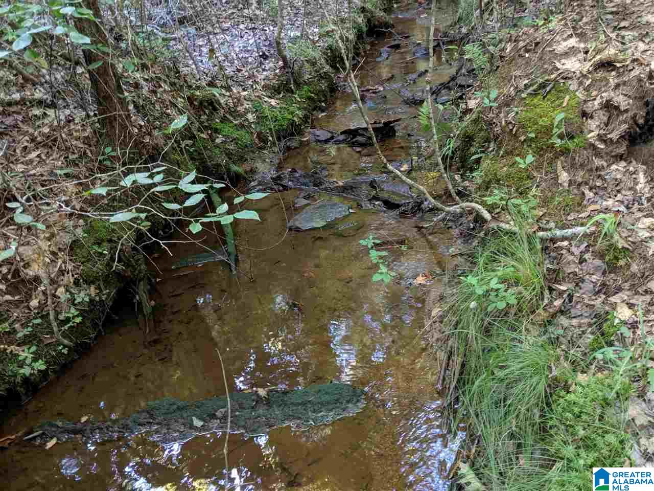 0 County Road 26 Wadley, AL 36276 - Photo 6 of 17