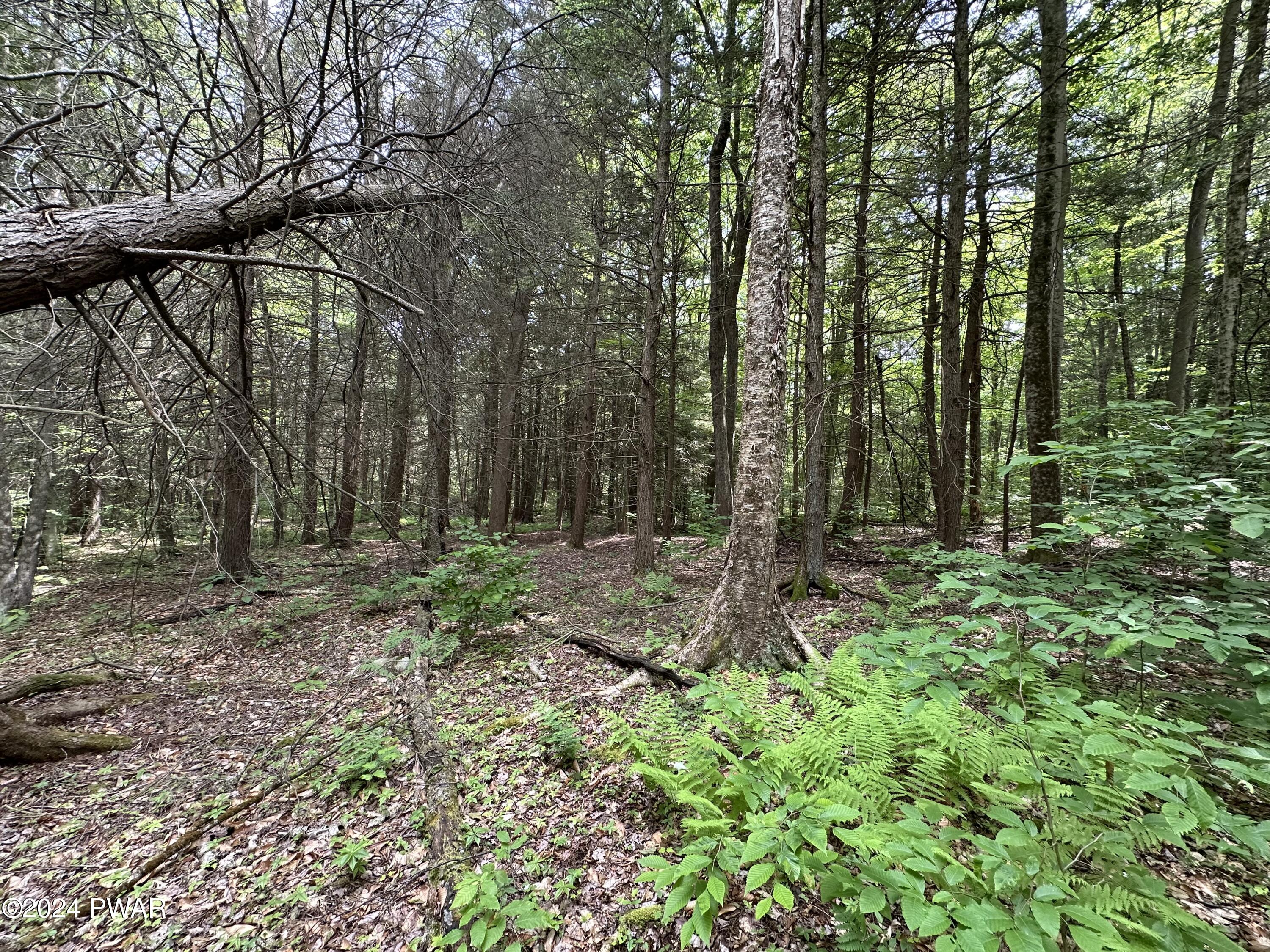 Minkler Mountain Road Damascus, PA 18415 - Photo 4 of 8