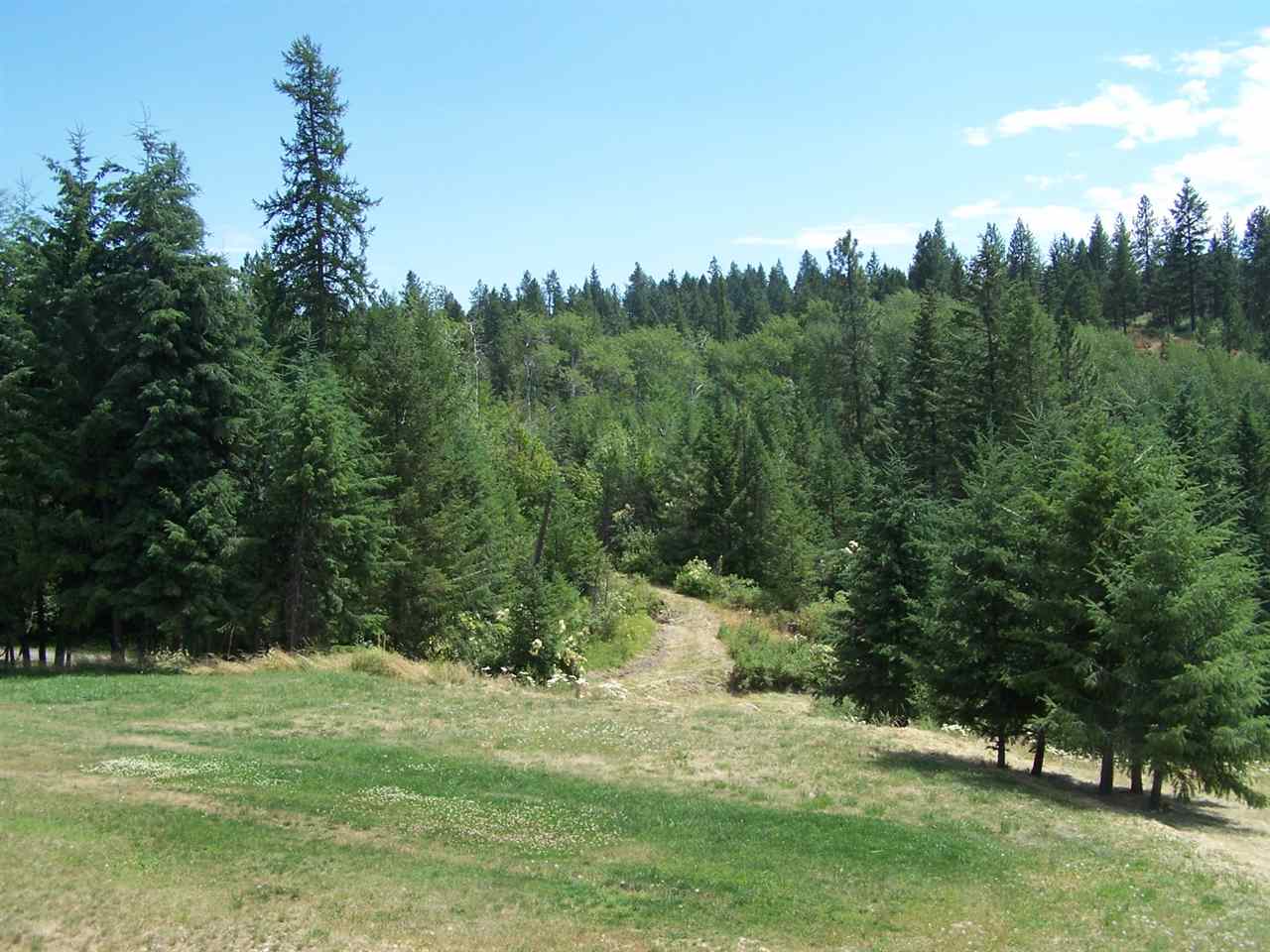 564 B Old Dominion Road Colville, WA 99114 - Photo 20 of 20