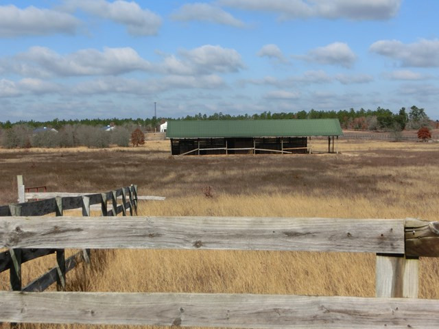 F & G Pickett Post Road Windsor, SC 29856 - Photo 16 of 18
