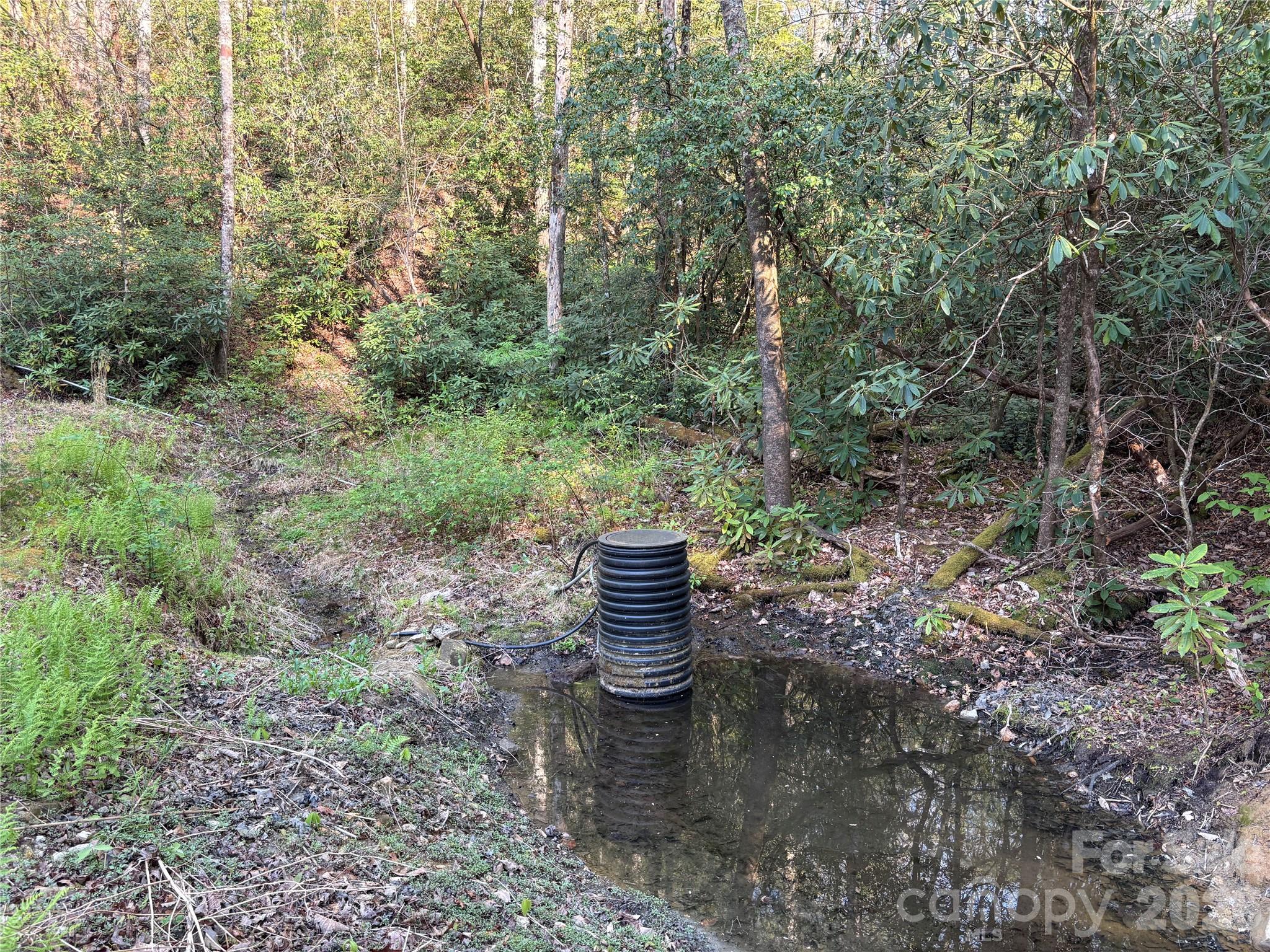 8888 Yellow Branch Road Robbinsville, NC 28771 - Photo 19 of 28 a view of a water from a yard