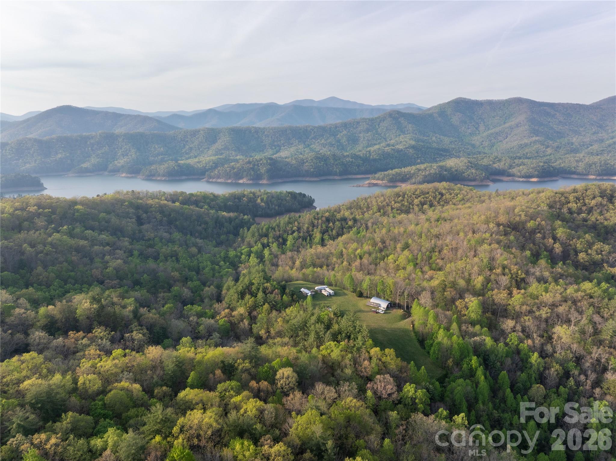 8888 Yellow Branch Road Robbinsville, NC 28771 - Photo 23 of 28 a view of a forest with mountains in the background