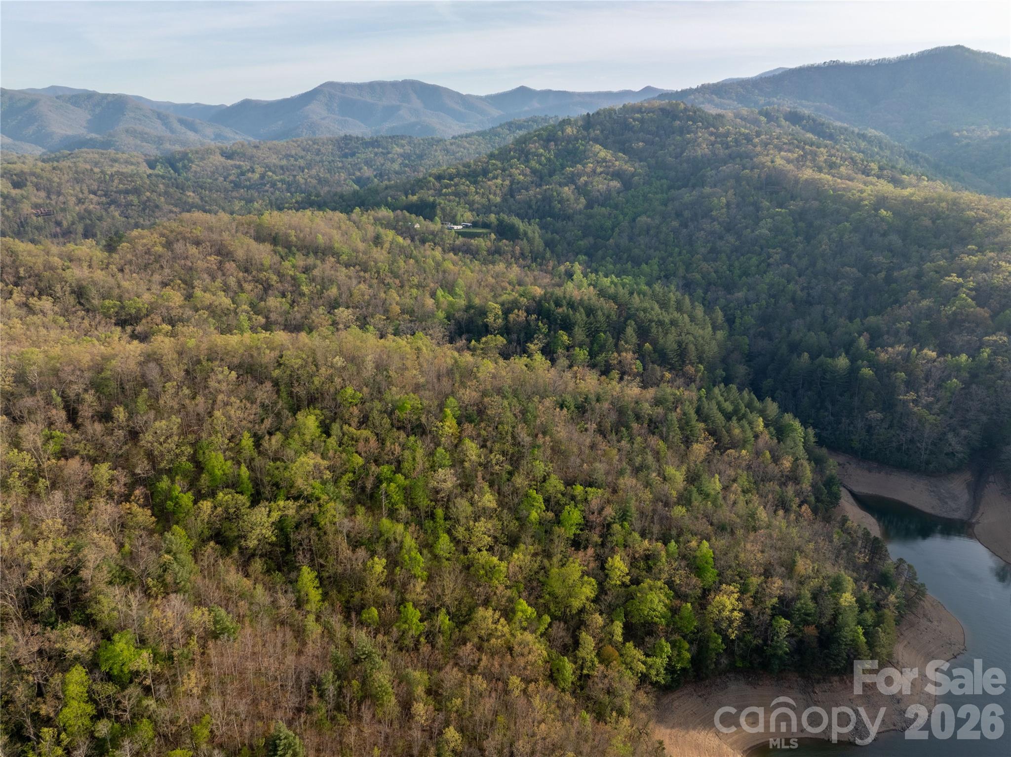 8888 Yellow Branch Road Robbinsville, NC 28771 - Photo 24 of 28 a view of a large mountain with trees in the background