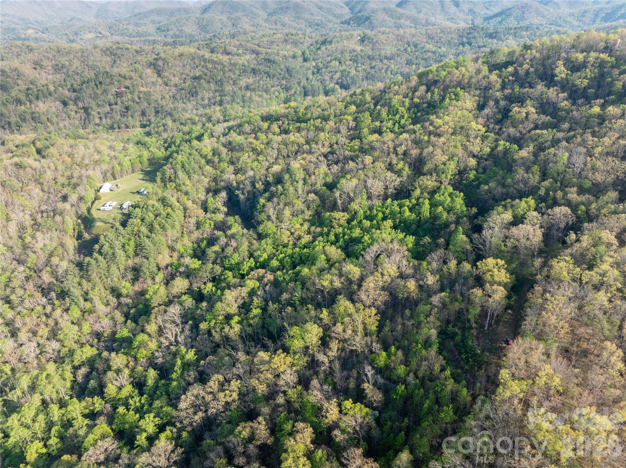 8888 Yellow Branch Road Robbinsville, NC 28771 - Photo 25 of 28 a view of a lush green forest with a lush green forest