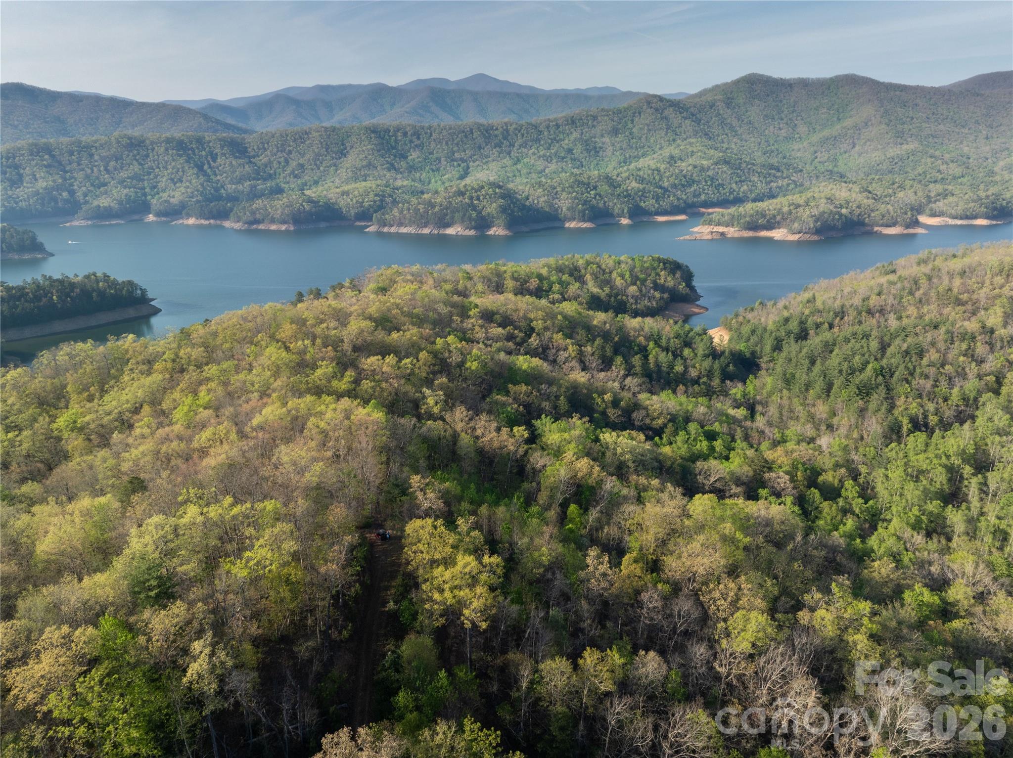 8888 Yellow Branch Road Robbinsville, NC 28771 - Photo 26 of 28 a view of lake with mountain