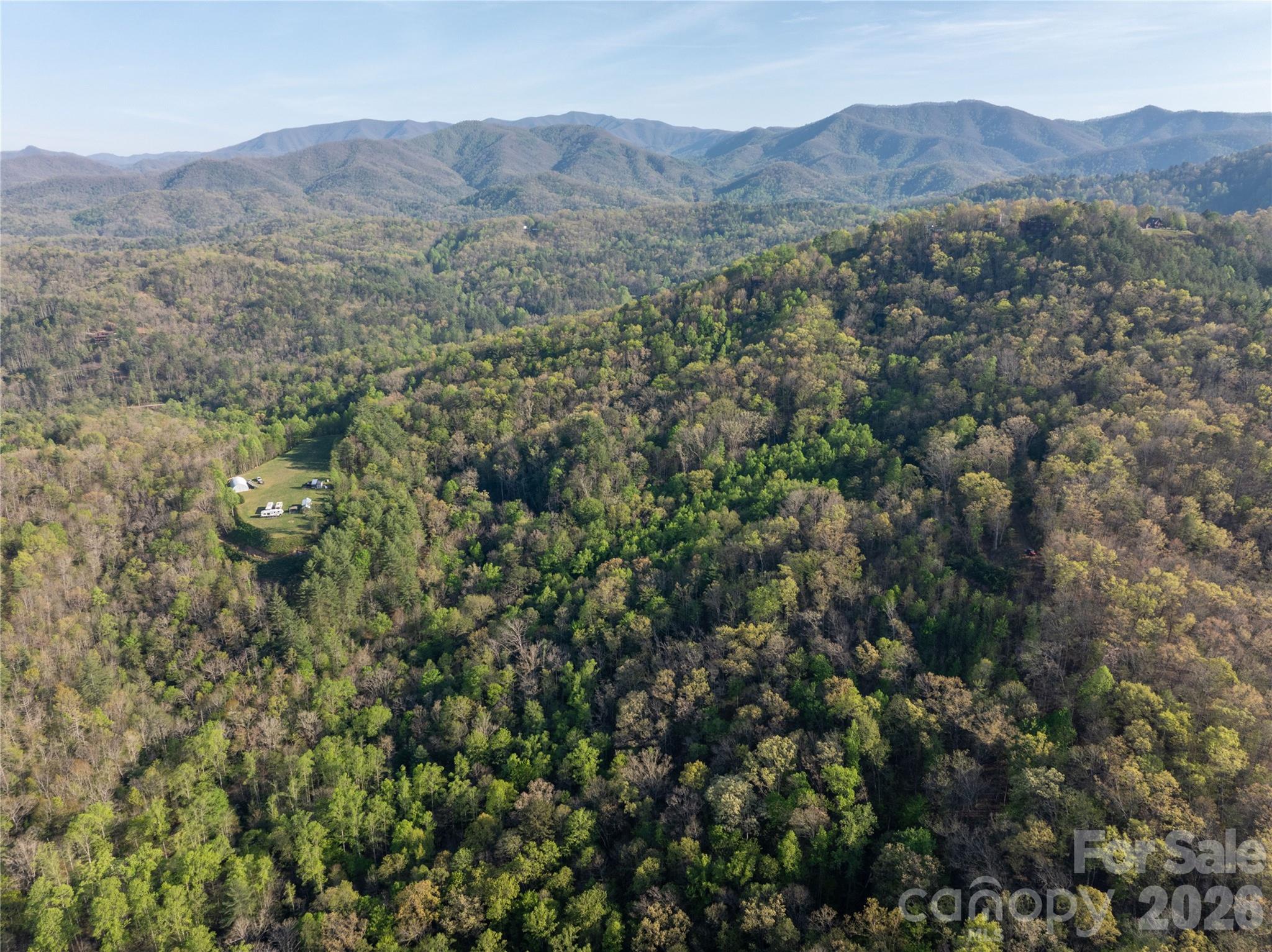 8888 Yellow Branch Road Robbinsville, NC 28771 - Photo 28 of 28 a view of a forest with mountains in the background