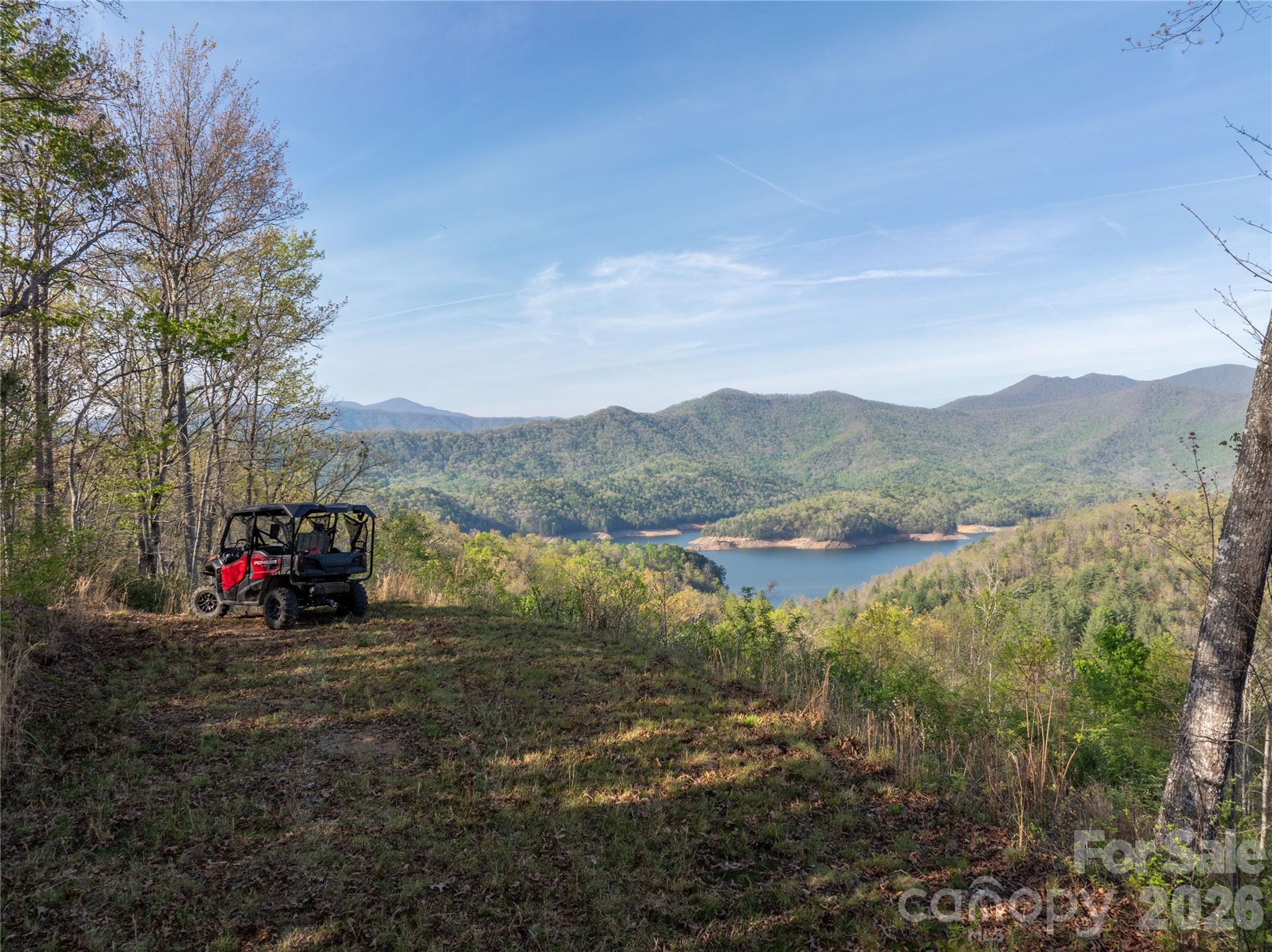 8888 Yellow Branch Road Robbinsville, NC 28771 - Photo 4 of 28 a view of a town with mountains in the background