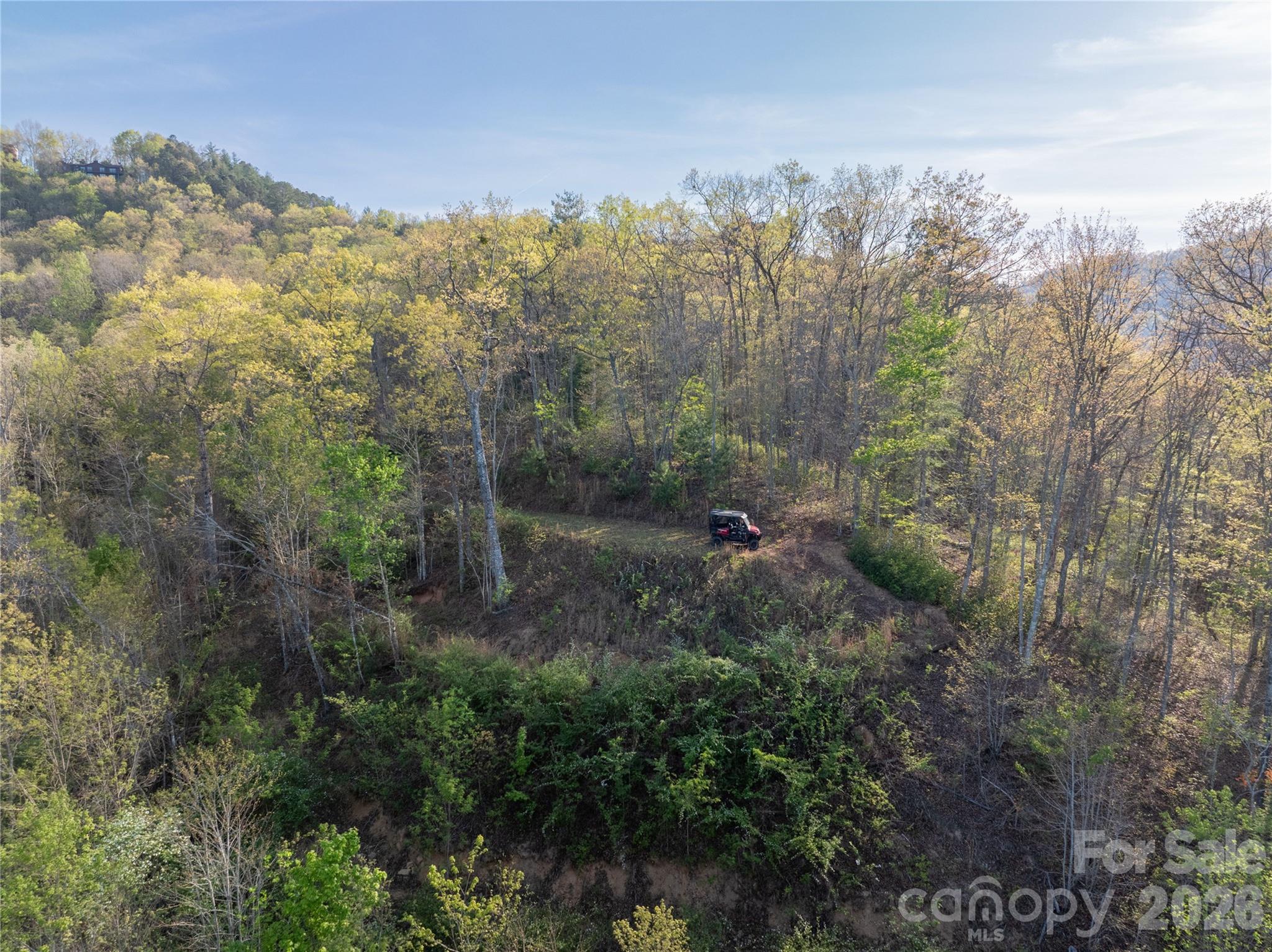 8888 Yellow Branch Road Robbinsville, NC 28771 - Photo 5 of 28 a view of a forest with a mountain in the background