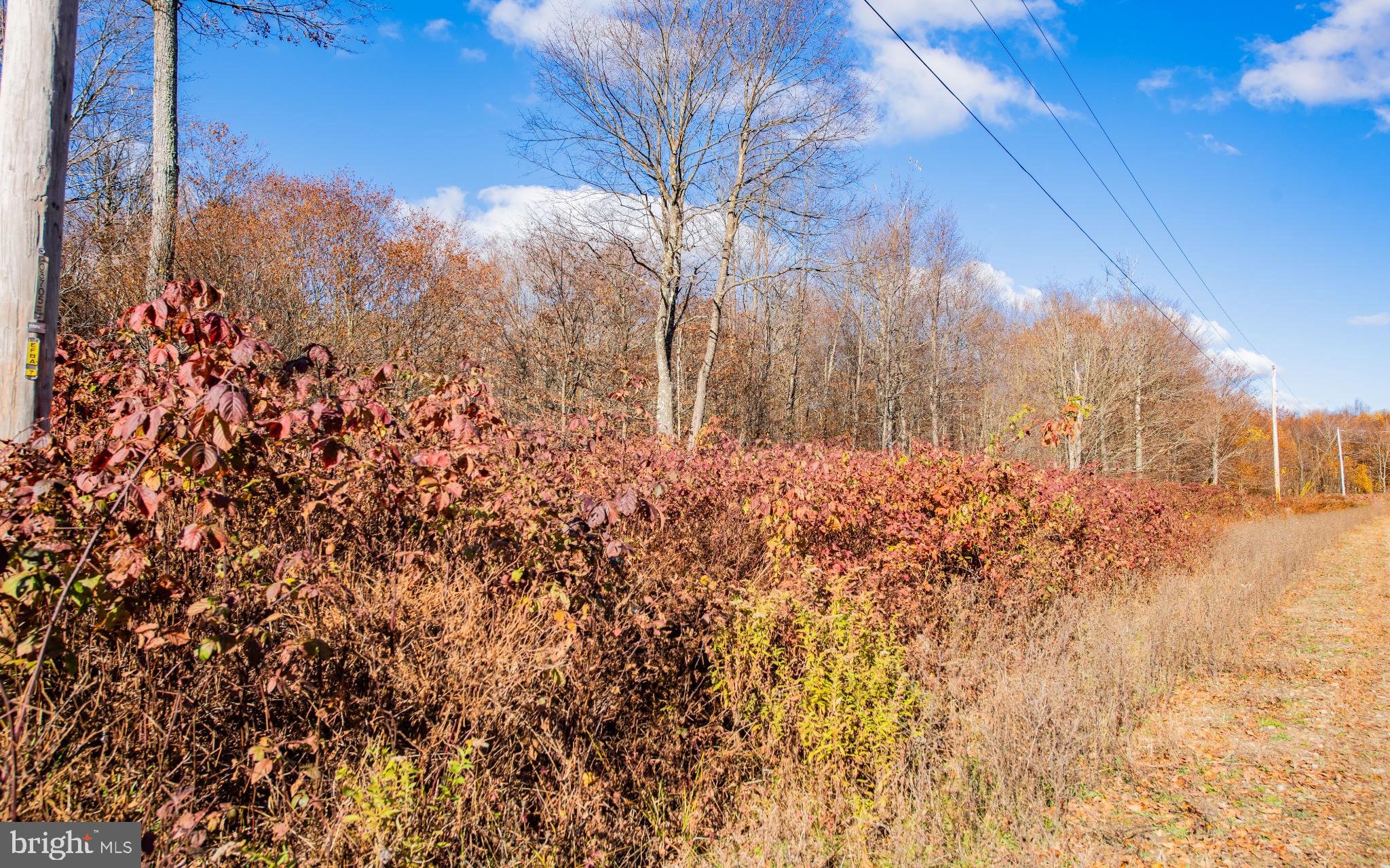 Autumn hues along a tranquil pathway.