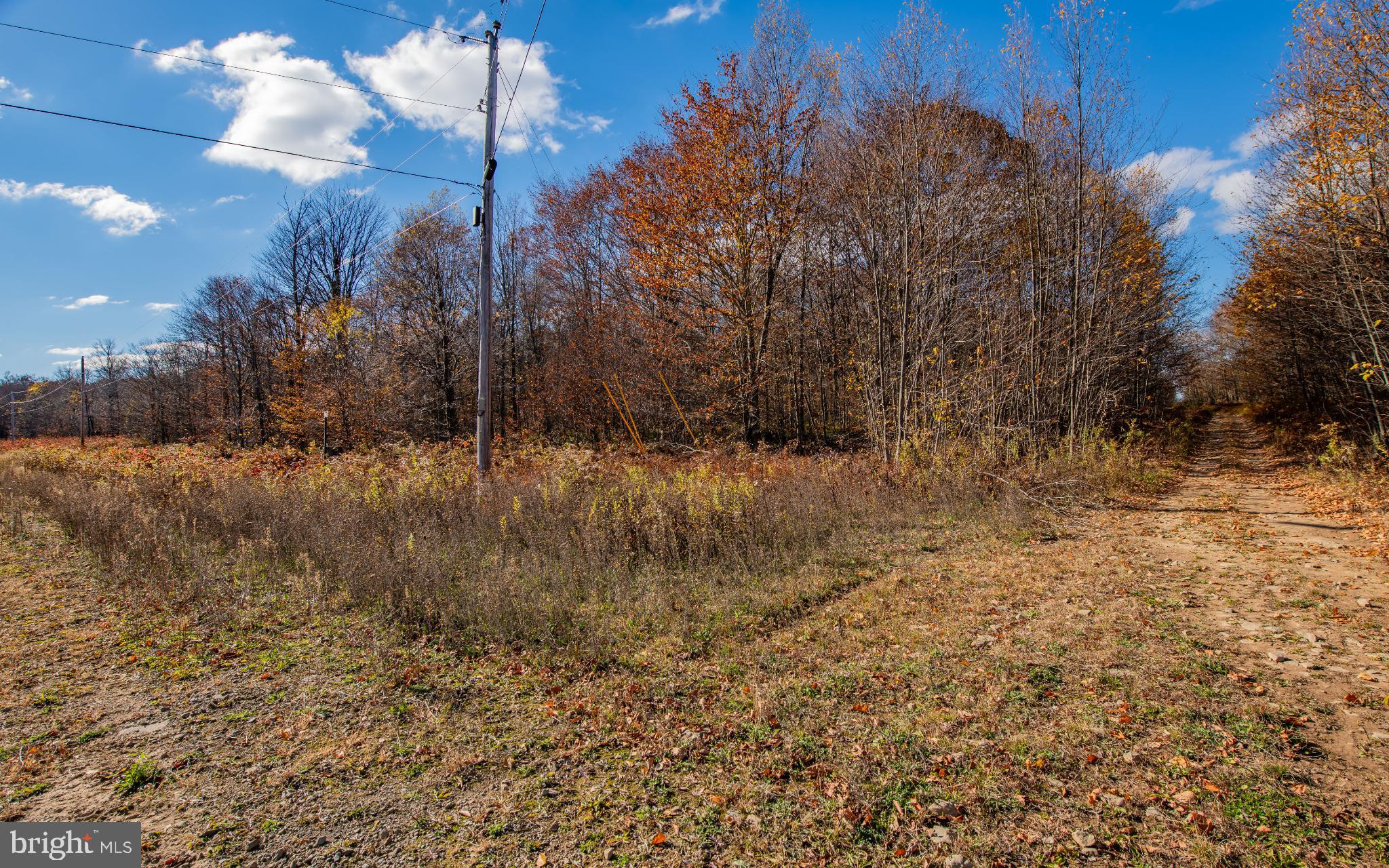 030 Glory Ridge Road Shunk, PA 17768 - Photo 2 of 3 Autumn's embrace on a tranquil path.