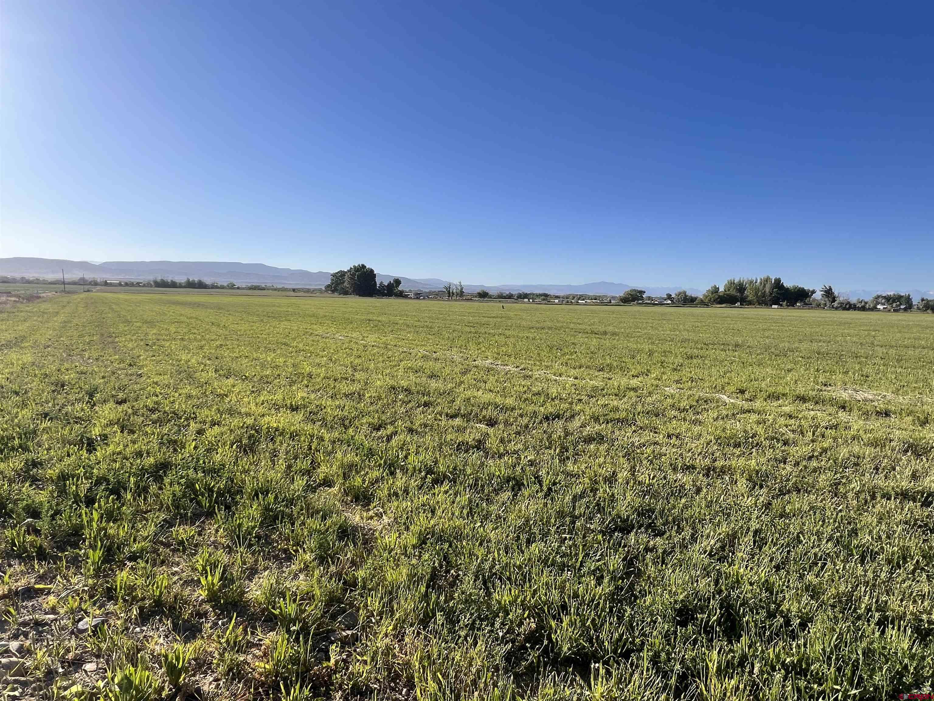 Tbd 5725th Road Olathe, CO 81425 - Photo 5 of 19
