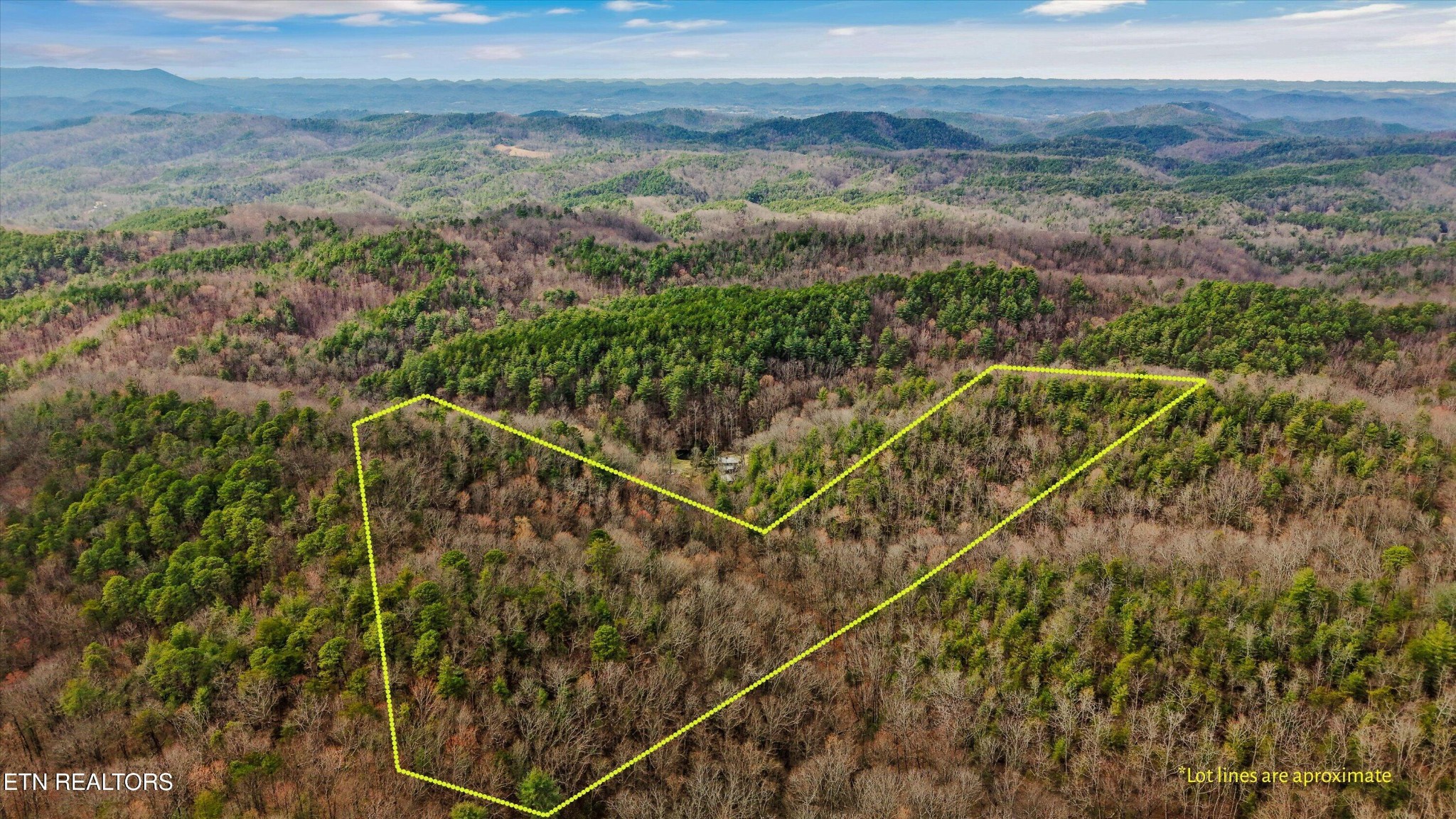 314 Caney Branch Road Tellico Plains, TN 37385 - Photo 20 of 22 Gallery Image 20
