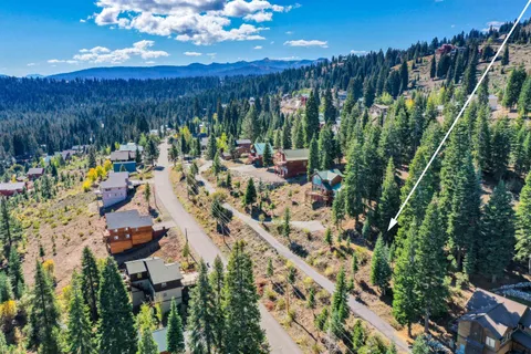 a view of a forest with a mountain