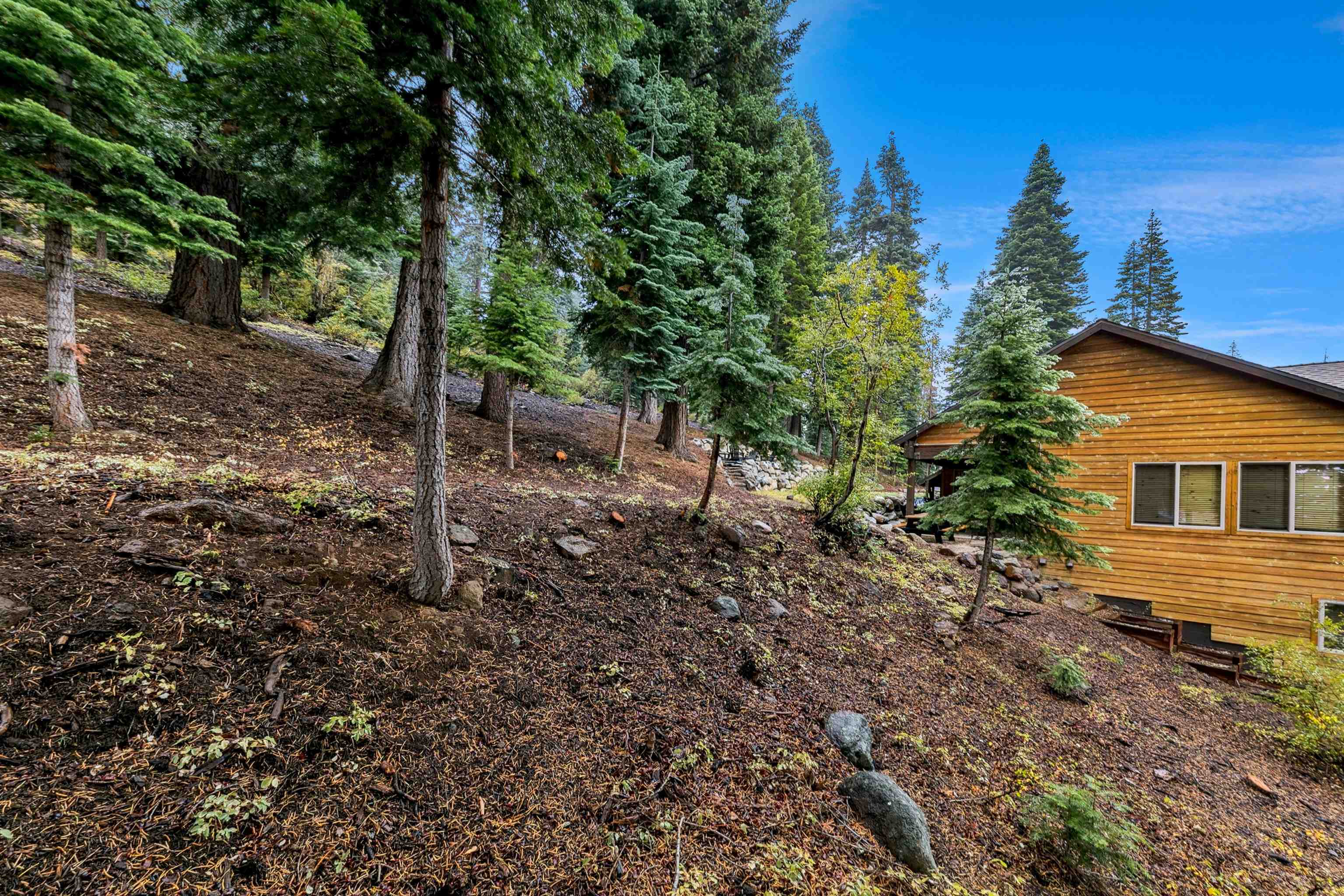 11926 Rhineland Avenue Truckee, CA 96161 - Photo 11 of 24 a view of a house with a tree