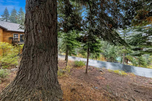 a view of outdoor space and yard