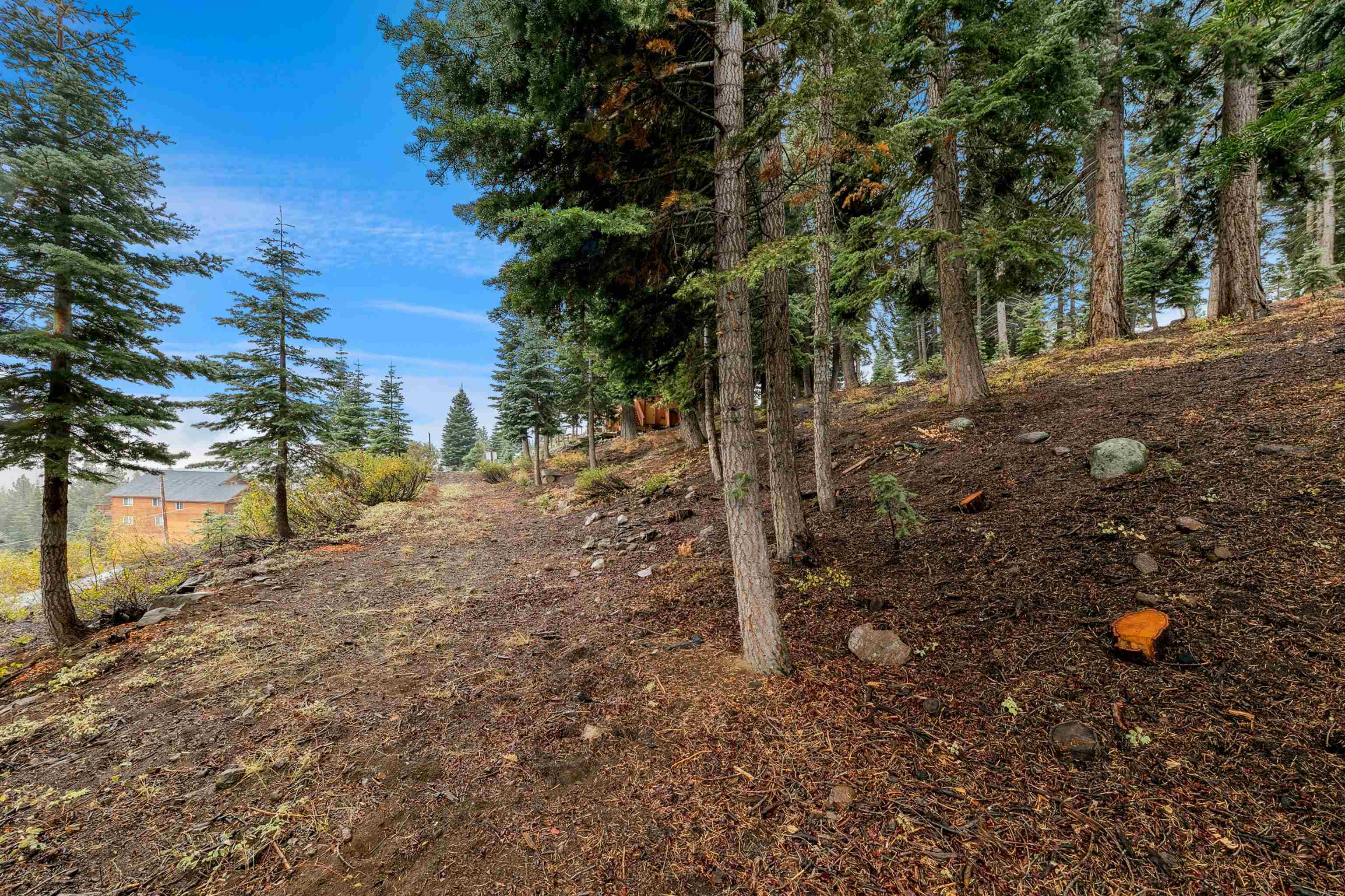 11926 Rhineland Avenue Truckee, CA 96161 - Photo 16 of 24 a backyard of a house with lots of green space
