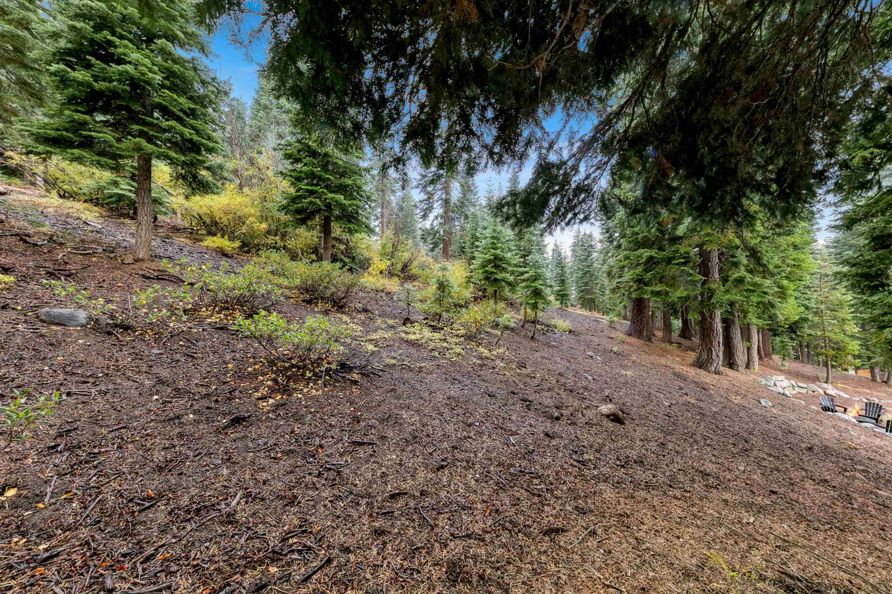 11926 Rhineland Avenue Truckee, CA 96161 - Photo 18 of 24 a view of a yard with a tree