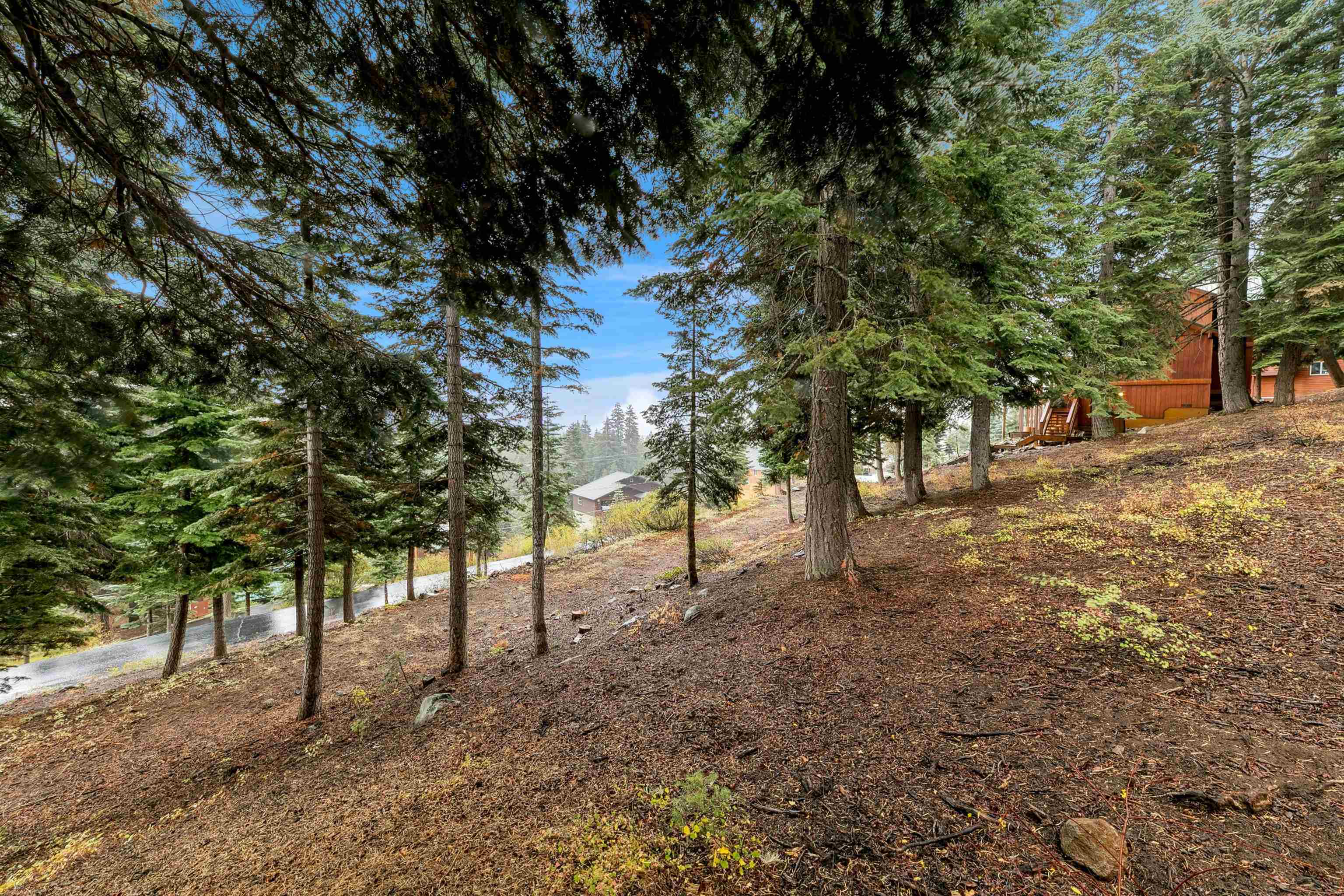 11926 Rhineland Avenue Truckee, CA 96161 - Photo 20 of 24 a view of a yard with plants and trees