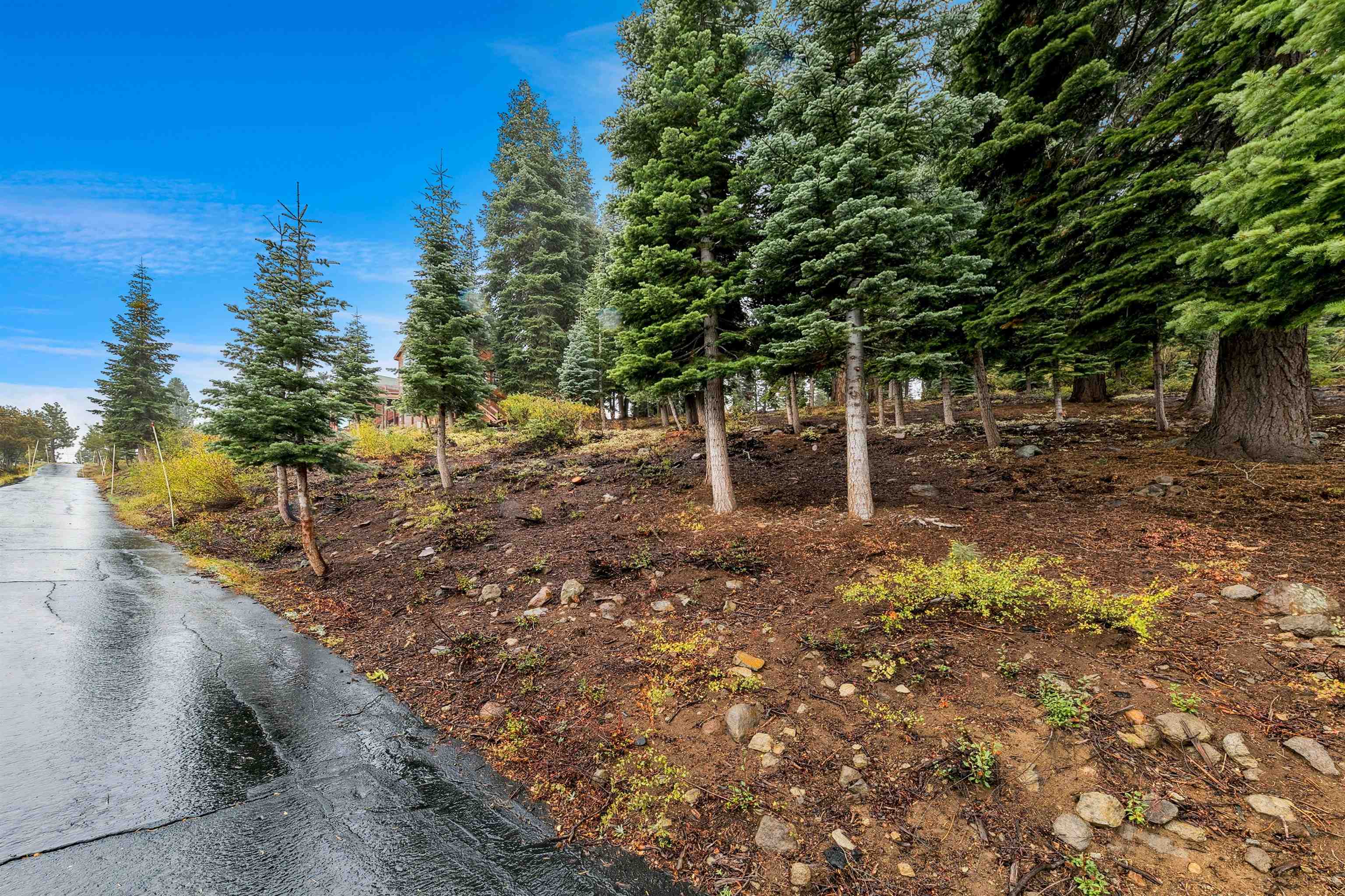 11926 Rhineland Avenue Truckee, CA 96161 - Photo 7 of 24 a backyard of a house with lots of green space