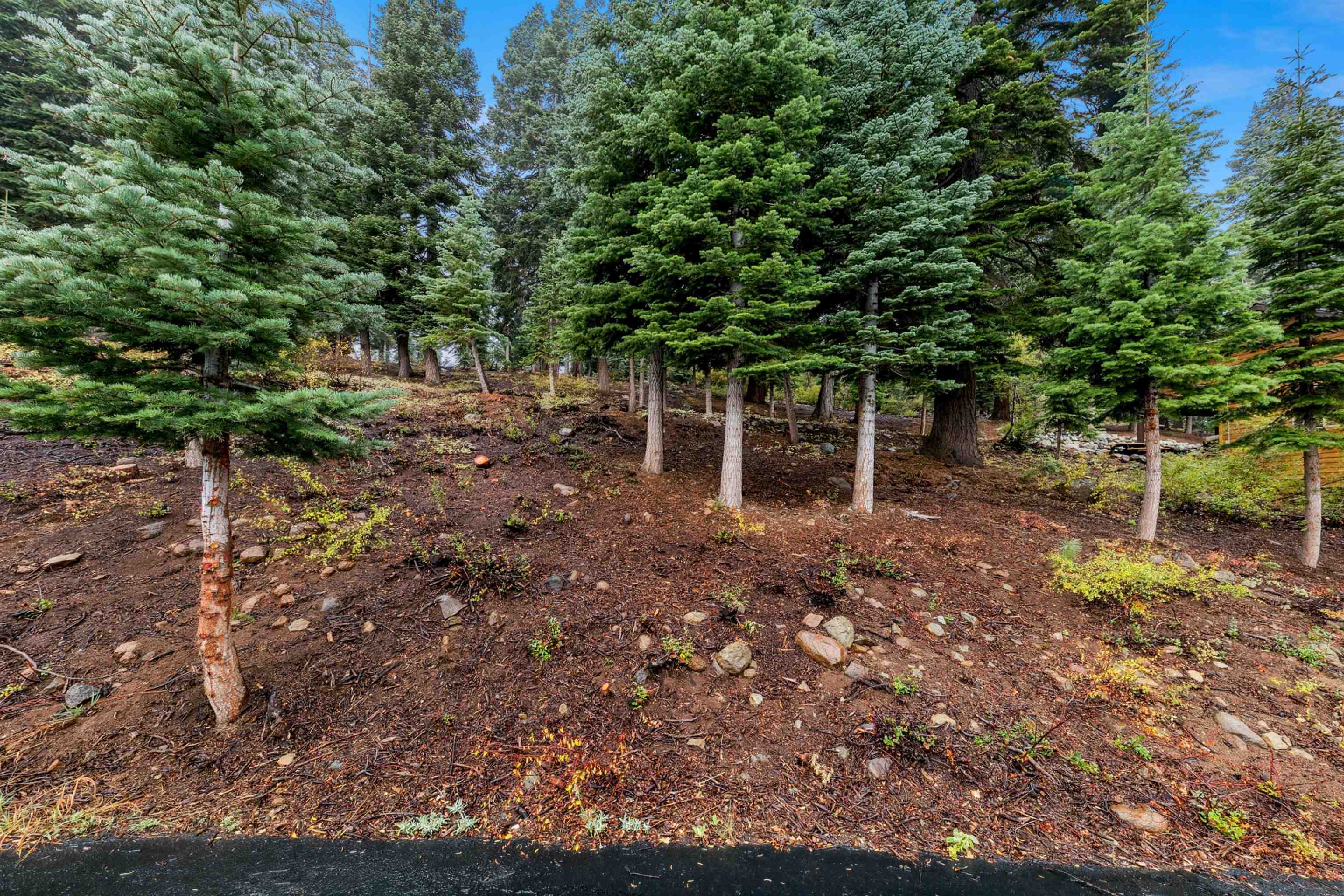 11926 Rhineland Avenue Truckee, CA 96161 - Photo 8 of 24 a backyard of a house with lots of green space