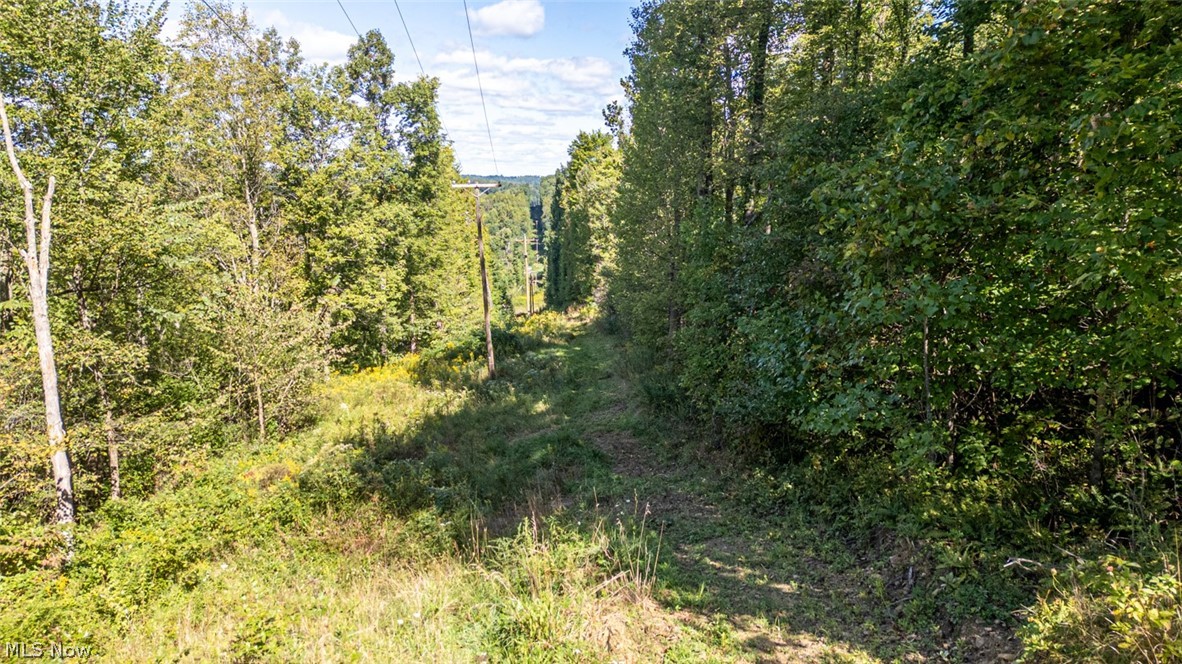 0 Southeast Kleski Road Tippecanoe, OH 44699 - Photo 25 of 33 Gallery Image 25