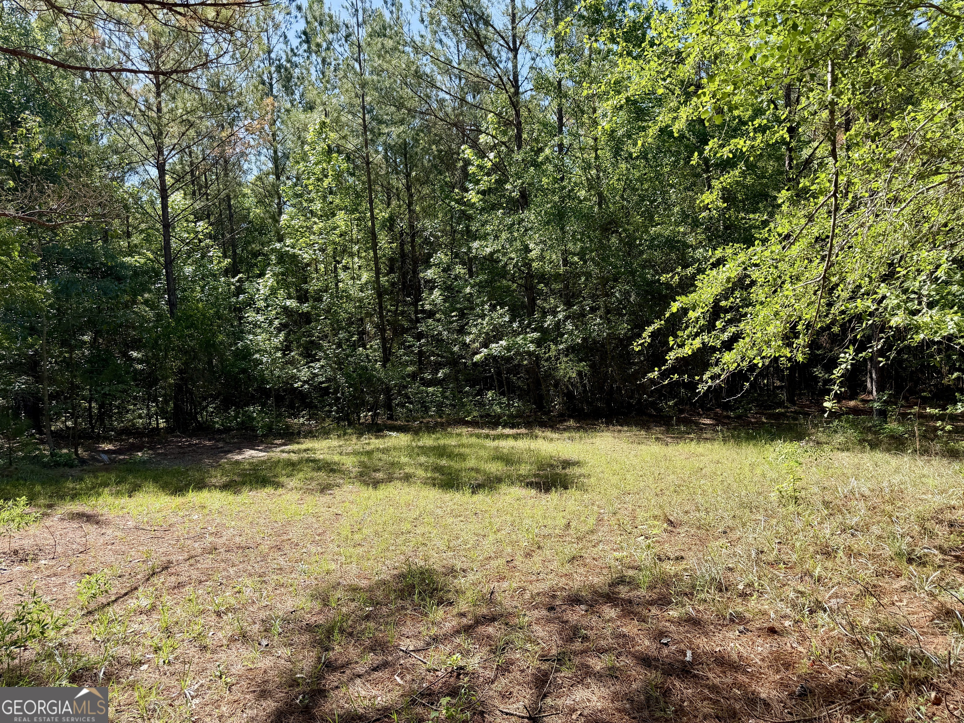 769 Mt Olive Church Road Eastman, GA 31023 - Photo 59 of 68