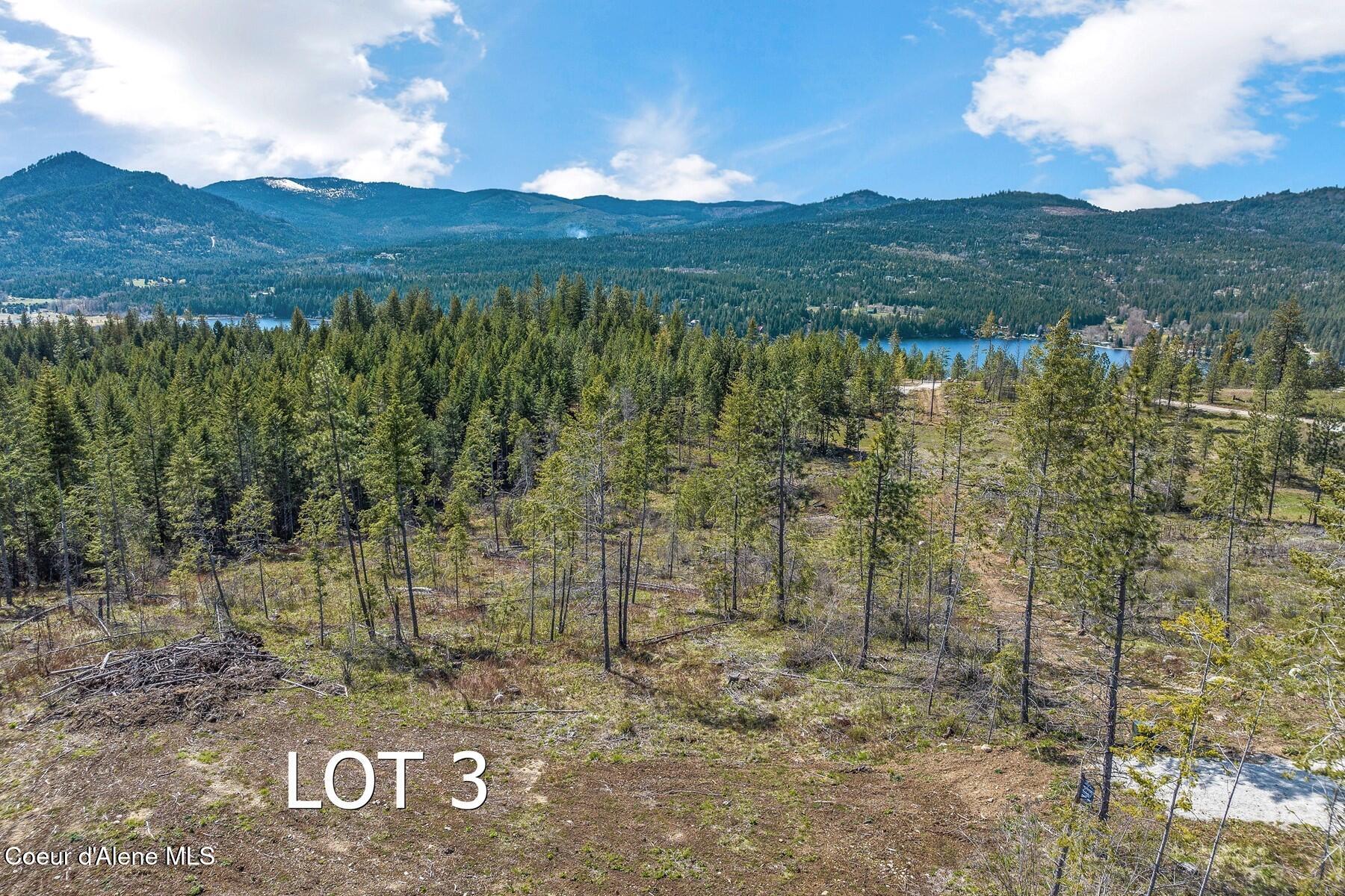 Lot 4 Kelley Creek Road Cocolalla, ID 83813 - Photo 6 of 18 06
