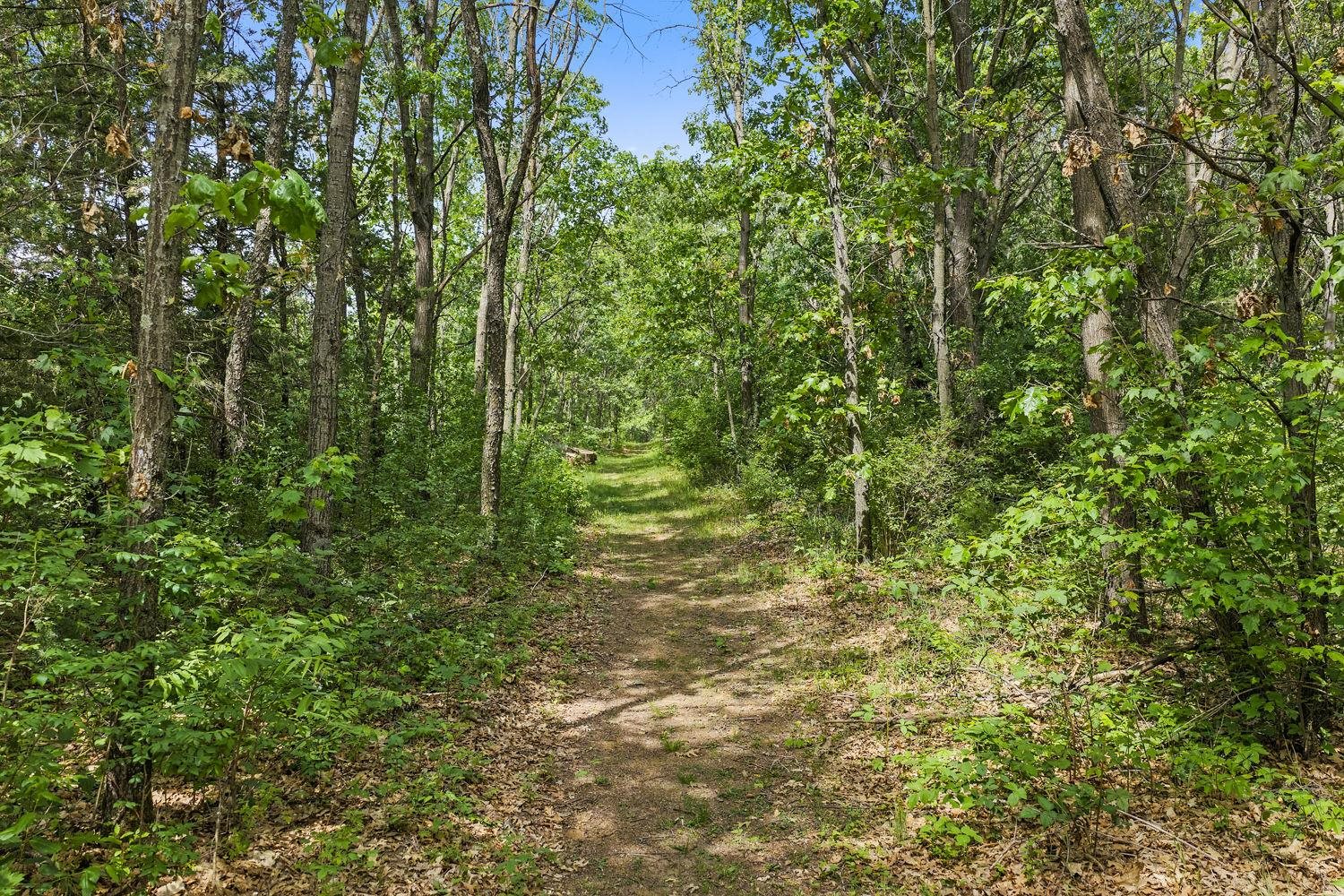 S3109 Buckhorn Road Reedsburg, WI 53959 - Photo 69 of 69