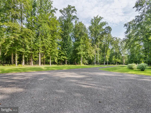 a view of a basketball court