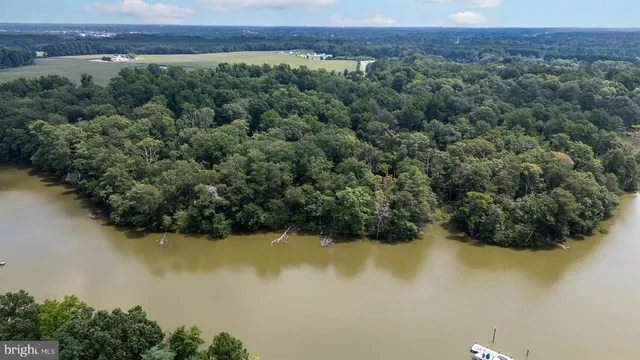 a view of a lake with a mountain and trees in the background